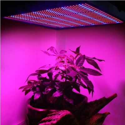 LED svjetlo za uzgoj